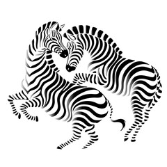 Two zebras in the rhythm of black and white stripes.