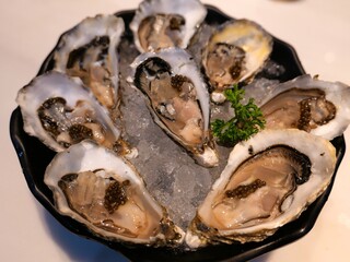 Oysters on Ice with Black Caviar Garnish and Parsley