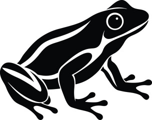vector illustration of a frog