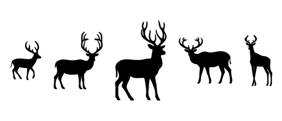 Wild Animal Silhouette Black Filled - Vector Illustration Outline Design Icon.