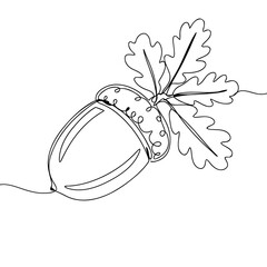 Single acorn with leaves drawn in minimalist line art style  on transparent background