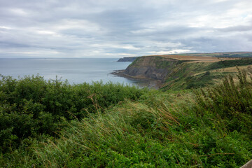 Clifftop,  Whitby, North Yorkshire, UK , Coast, Sea 