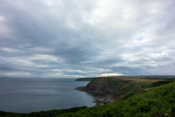 Clifftop,  Whitby, North Yorkshire, UK , Coast, Sea 