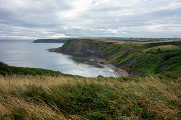 Clifftop,  Whitby, North Yorkshire, UK , Coast, Sea 