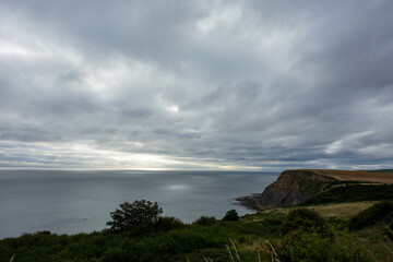 Clifftop,  Whitby, North Yorkshire, UK , Coast, Sea 