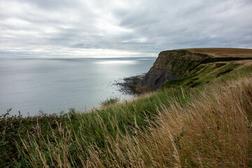 Clifftop,  Whitby, North Yorkshire, UK , Coast, Sea 