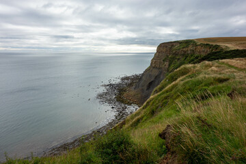 Clifftop,  Whitby, North Yorkshire, UK , Coast, Sea 
