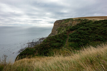 Clifftop,  Whitby, North Yorkshire, UK , Coast, Sea 