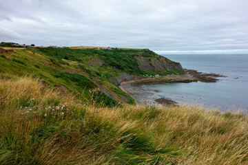 Clifftop,  Whitby, North Yorkshire, UK , Coast, Sea 