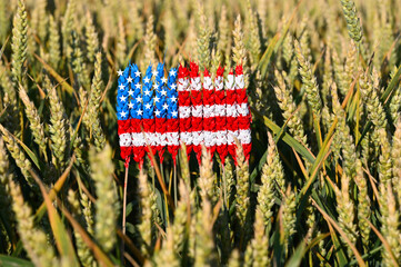 Wheat ears painted with the flag of the United States, field of wheat, grain