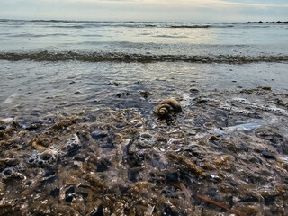 Am Hvidbjerg Strand von Blavand