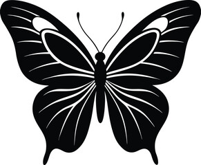 black butterfly vector illustration