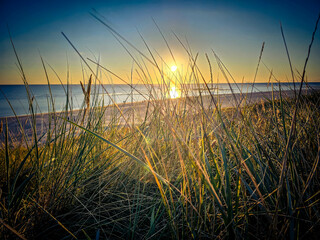 Am Hvidbjerg Strand von Blavand
