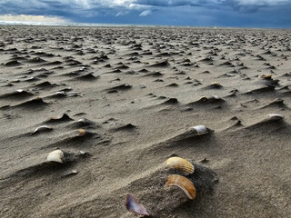 Am Hvidbjerg Strand von Blavand