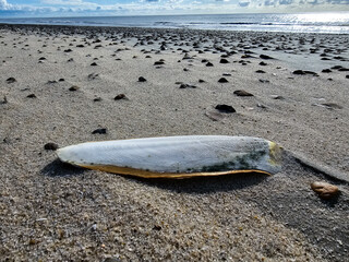 Am Hvidbjerg Strand von Blavand