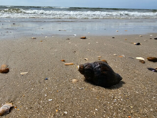 Am Hvidbjerg Strand von Blavand