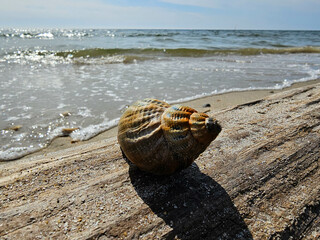 Am Hvidbjerg Strand von Blavand