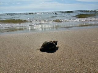 Am Hvidbjerg Strand von Blavand