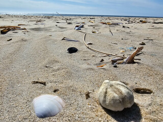Am Hvidbjerg Strand von Blavand