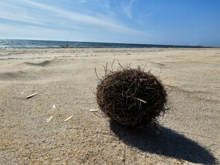 Am Hvidbjerg Strand von Blavand