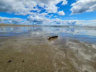 Am Hvidbjerg Strand von Blavand