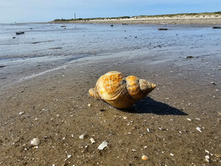 Am Hvidbjerg Strand von Blavand