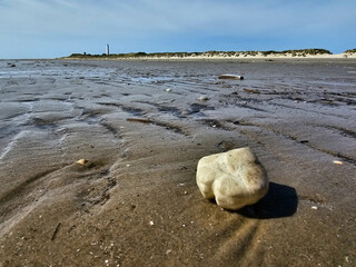 Am Hvidbjerg Strand von Blavand