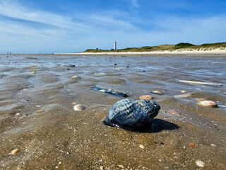 Am Hvidbjerg Strand von Blavand