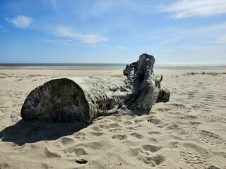 Am Hvidbjerg Strand von Blavand