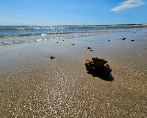 Am Hvidbjerg Strand von Blavand
