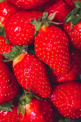 lots of fresh strawberries with water drops on black background