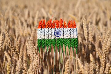 Wheat ears painted with the flag of India, field of wheat, grain