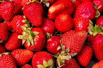 lots of fresh strawberries with water drops on black background