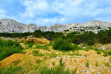 Mountains above a pine forest at Krk in Kvarner, Croatia