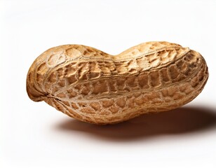 single peanut in its shell