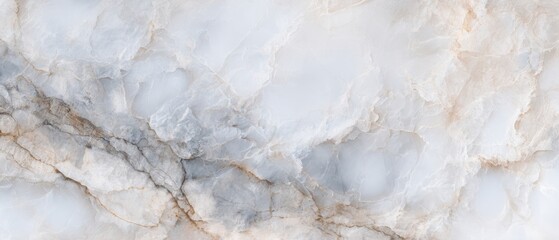 The Elegant Marble Surface with Veins and Abstract Patterns.