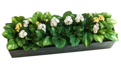 Plant wall , isolated on transparent background, png