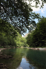 Beautiful view of the mountain river