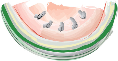 watermelon slice on white background