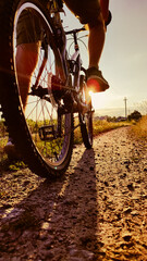 Cyclist rides mountain bike sunset trail rural field. Young man riding on bike in the countryside. Back view. Active summer holidays.