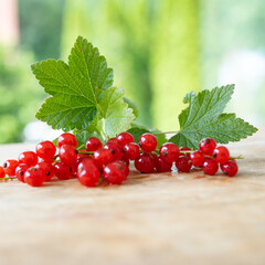 Bunch of ripe red currants with green leaves on wooden table against  light background. Close-up of seasonal healthy fruits. Space for text.