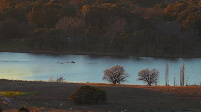 Rowers power through still morning waters of Lake Burley Griffin as treetops catch golden light from the sunrise.
