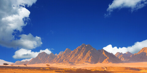 mountain landscape in the desert