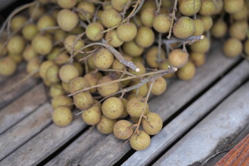 Fresh longan bunches from the orchard, sweet and juicy tropical fruits ready to enjoy.