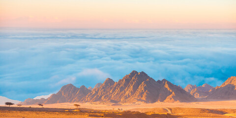 mountain landscape in the desert