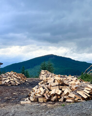 Piles of firewood stacked with mountain and cloudy sky backdrop.