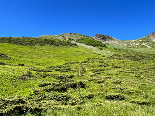 Lush green mountains under a clear blue sky on a sunny day.