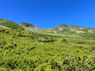 Lush green hills under a clear blue sky.