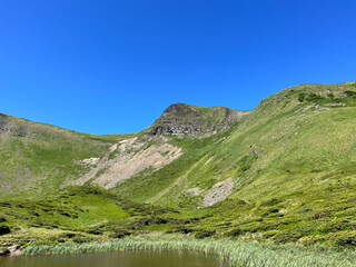 Green hills and pond under a clear blue sky