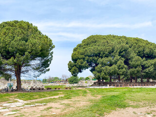 The Ancient Greece Greek and the Roman Empire, the ruins site of Ephesus and Library of Celsus, Izmir, Turkiye
